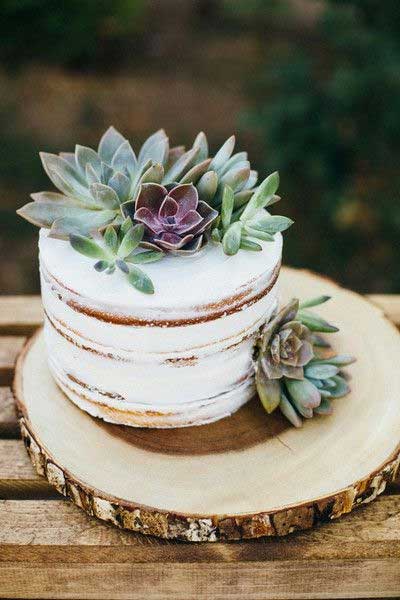 idées decoration du gateau de mariage avec des plantes grasses, des plantes succulentes, cactus